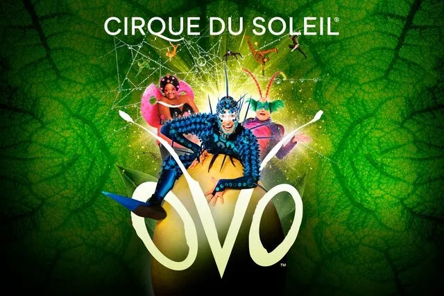 Cirque Du Soleil – Ovo